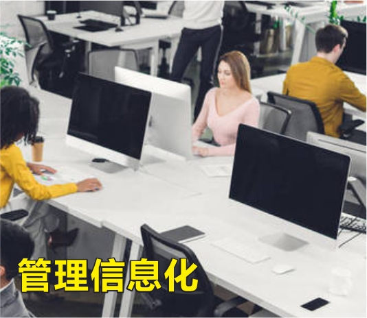 成长型企业办公信息化，提升竞争力